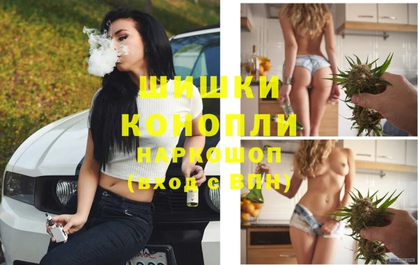 дживик Балахна