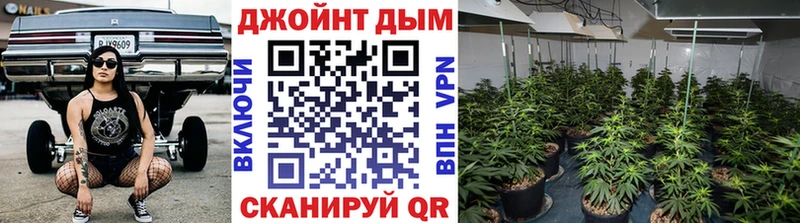 кракен зеркало  купить  сайты  Новопавловск  Каннабис OG Kush 